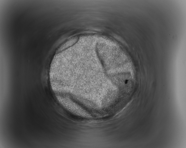 X0000087561355200705251752