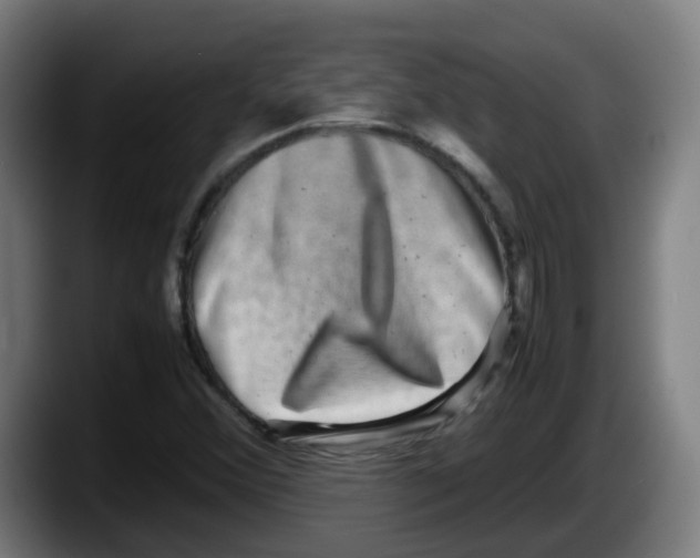 X0000087561356200705251752