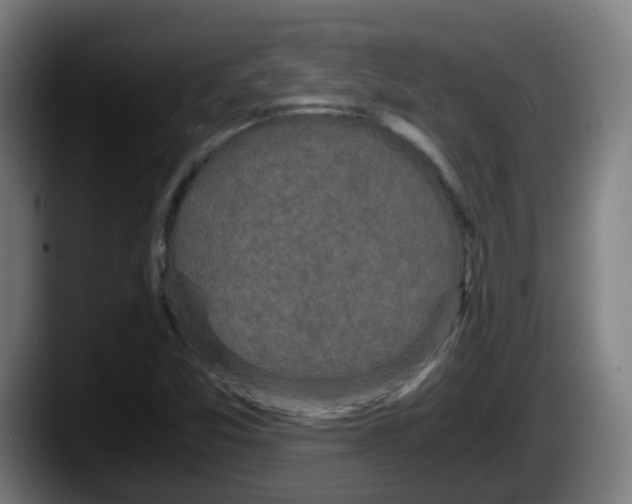 X0000087561357200705251752
