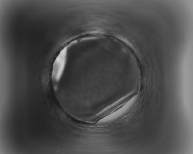 X0000087561359200705251752