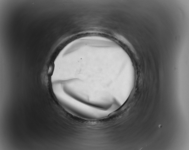 X0000087561360200705251752