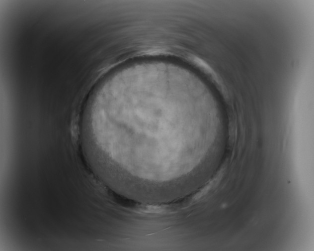 X0000087561361200705251752
