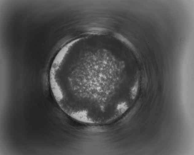 X0000087561362200705251752