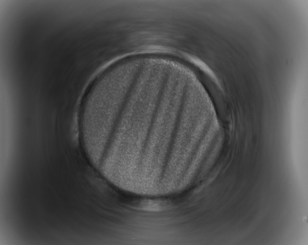 X0000087561364200705251752