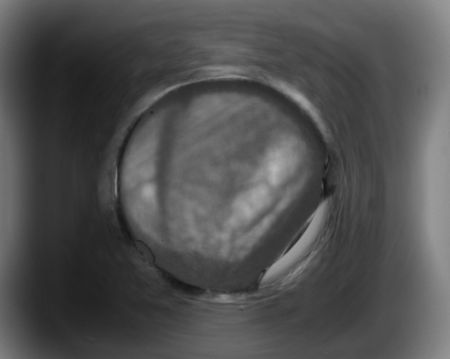 X0000087561365200705251752
