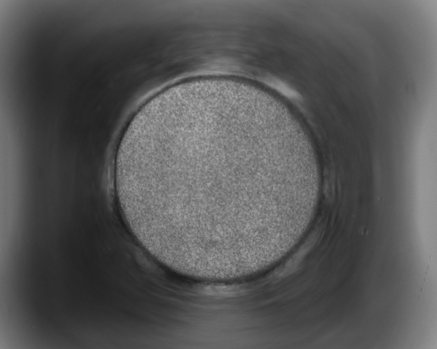 X0000087561366200705251752