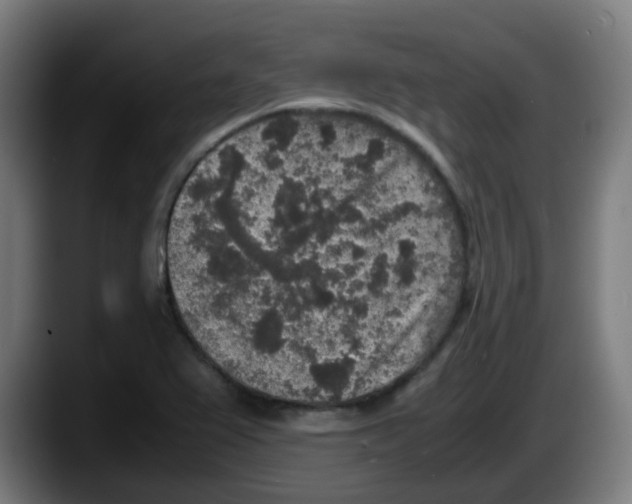 X0000087561367200705251752