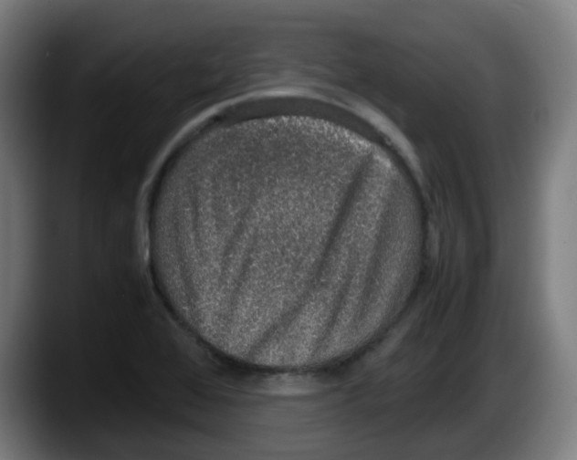 X0000087561368200705251752
