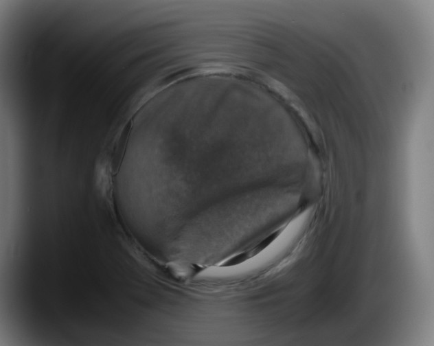 X0000087561369200705251752