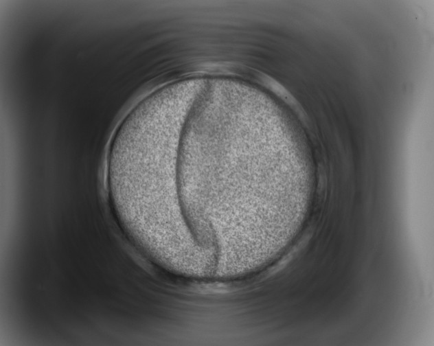 X0000087561370200705251752