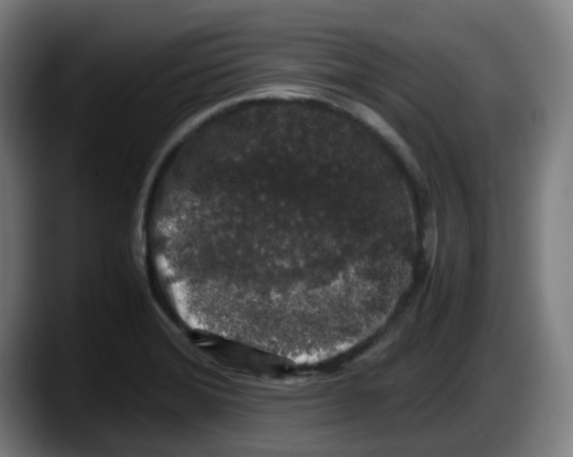 X0000087561372200705251751