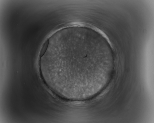 X0000087561373200705251751