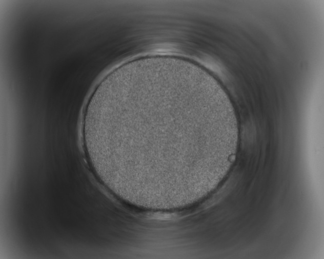X0000087561374200705251751