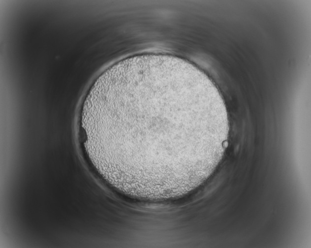 X0000087561375200705251751