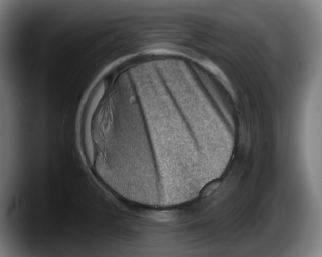 X0000087561376200705251751