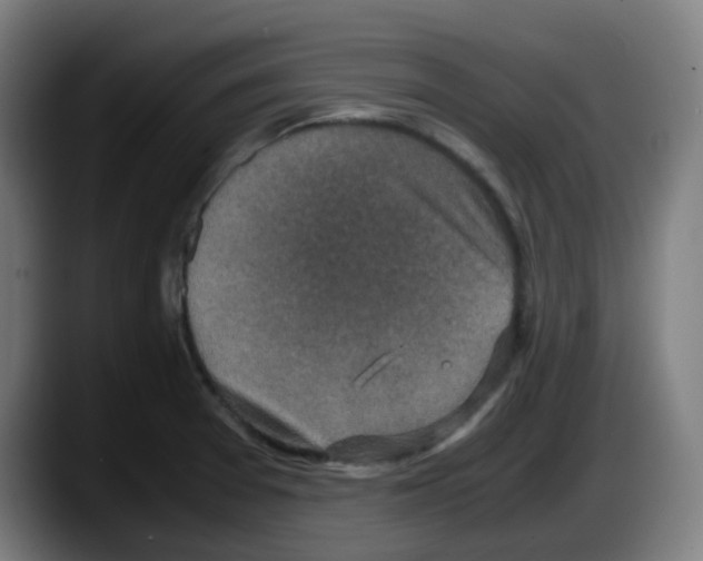 X0000087561377200705251751