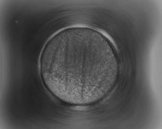 X0000087561380200705251751