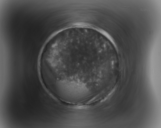 X0000087561381200705251751