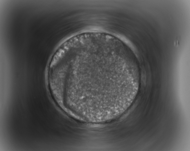 X0000087561382200705251751