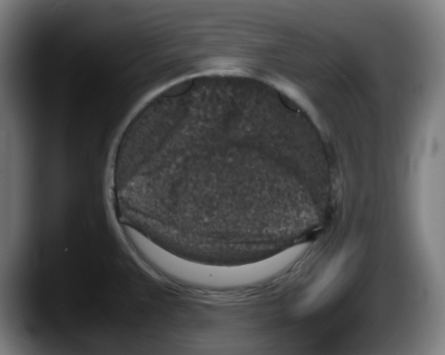 X0000087561383200705251751