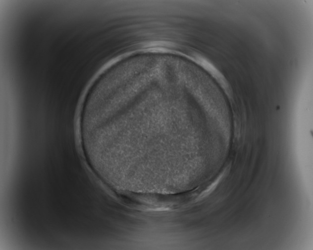 X0000087561384200705251751