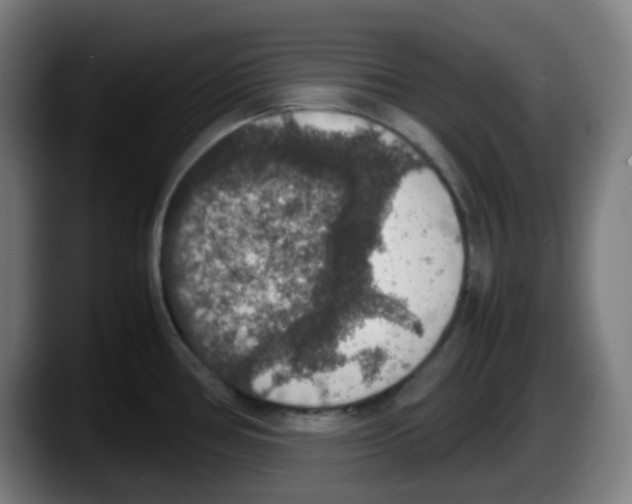X0000087561386200705251751