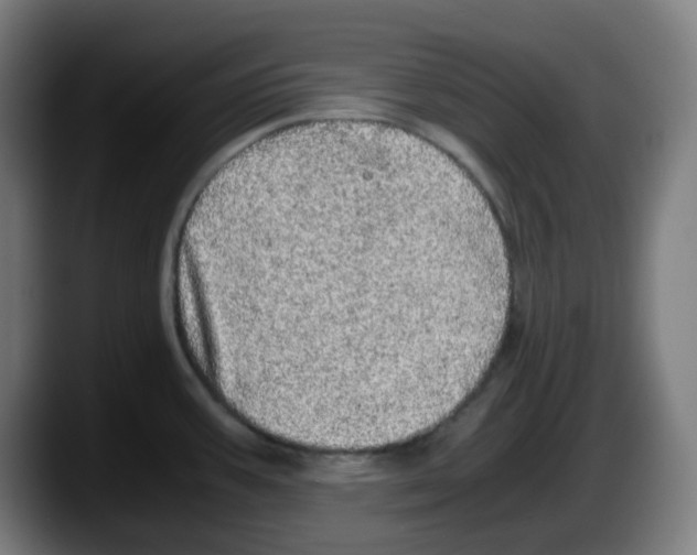 X0000087561387200705251751