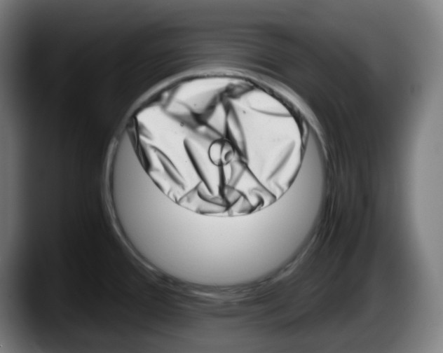 X0000087561388200705251751