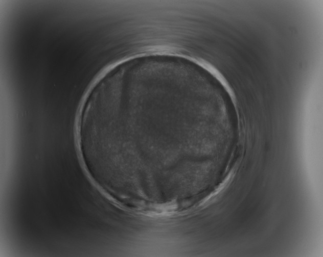 X0000087561389200705251751