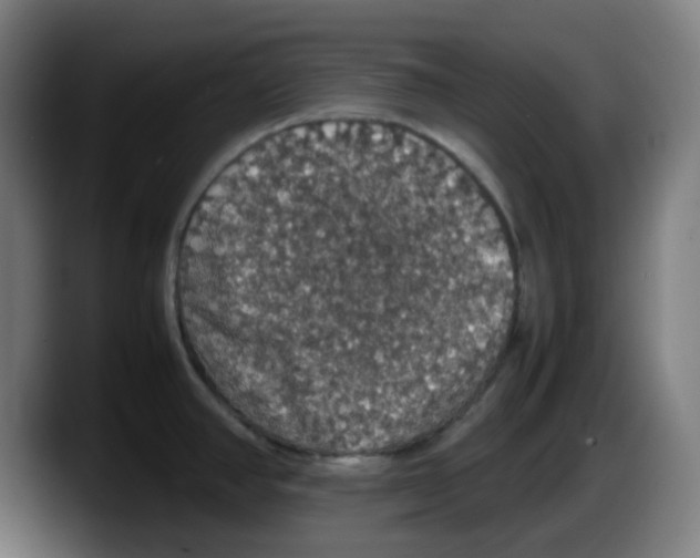 X0000087561390200705251751