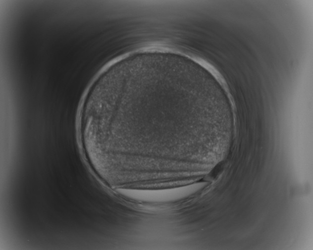 X0000087561392200705251751