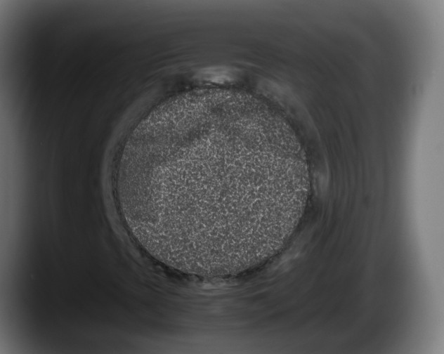 X0000087561393200705251751