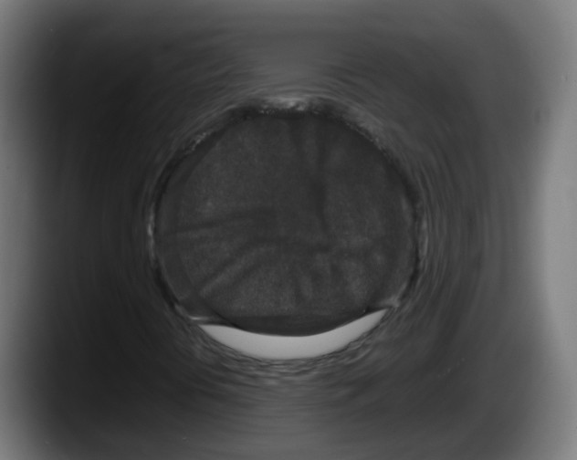 X0000087561394200705251751