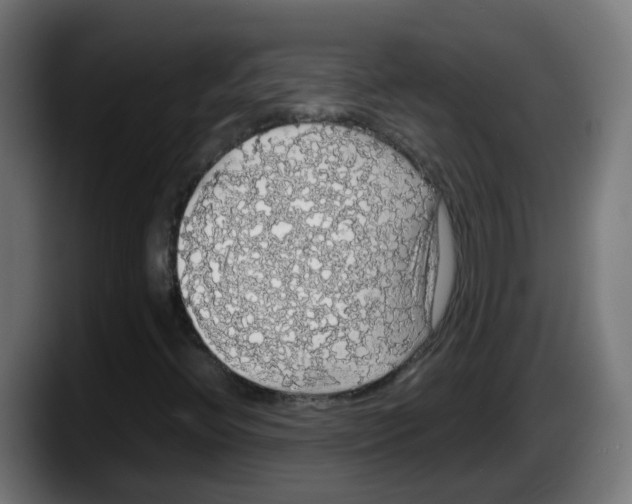 X0000087561396200705251751
