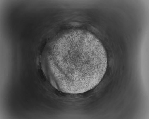 X0000087561397200705251751