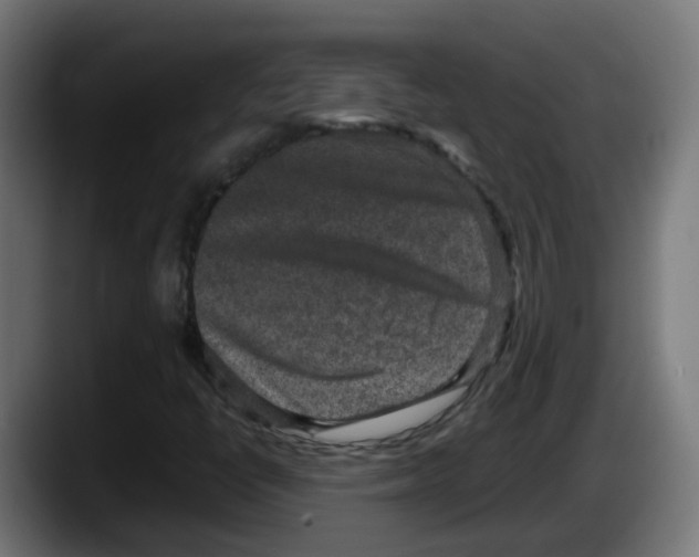 X0000087561398200705251751
