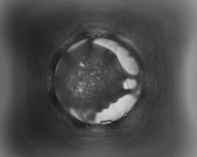 X0000087561399200705251751