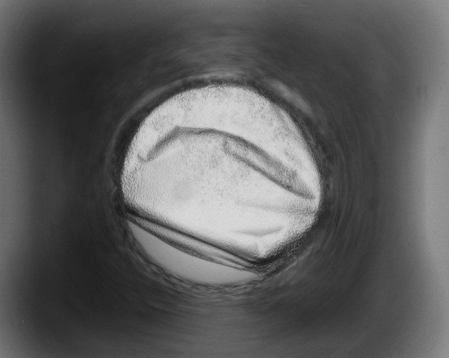 X0000087561400200705251751