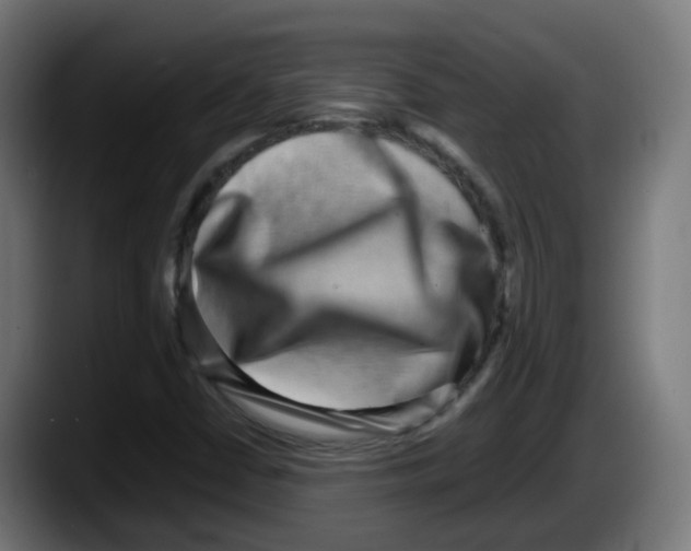 X0000087561402200705251751