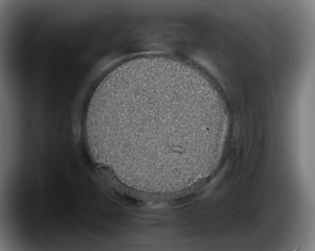 X0000087561407200705251751