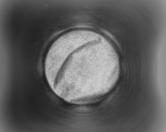 X0000087561408200705251751