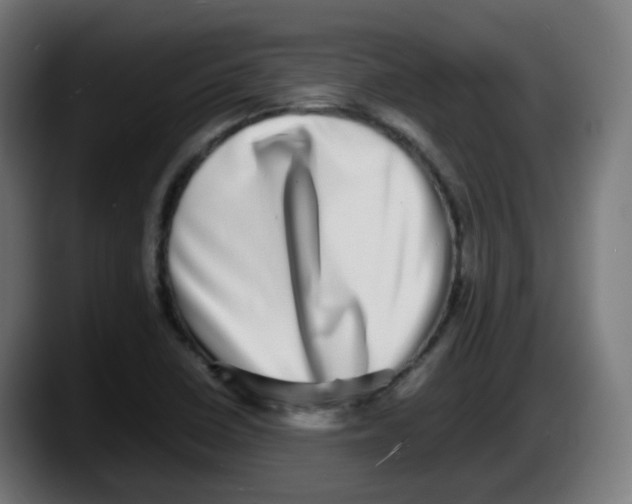X0000087561410200705251751