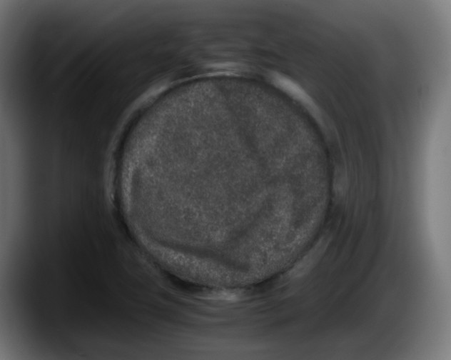 X0000087561411200705251751