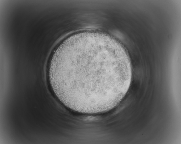 X0000087561412200705251751
