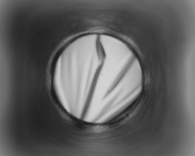 X0000087561414200705251751
