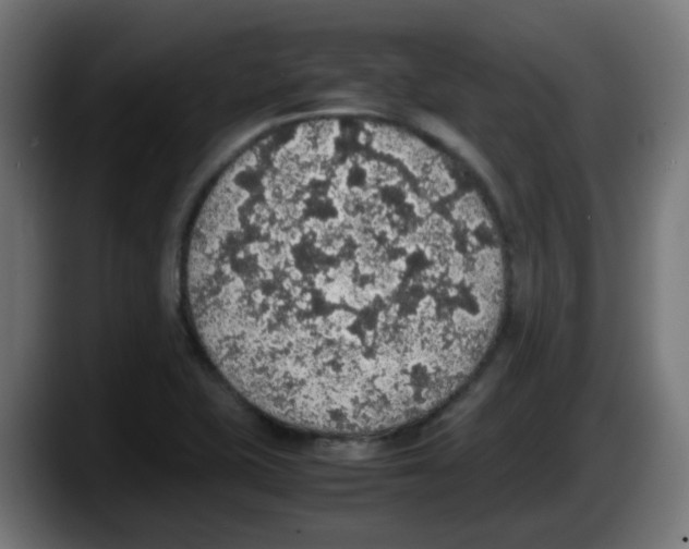 X0000087561415200705251751