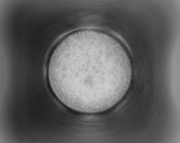 X0000087561416200705251751