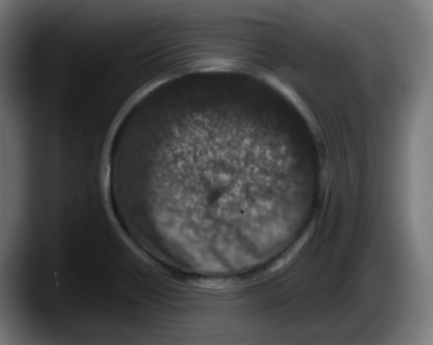 X0000087561418200705251751