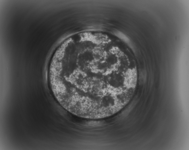 X0000087561419200705251751