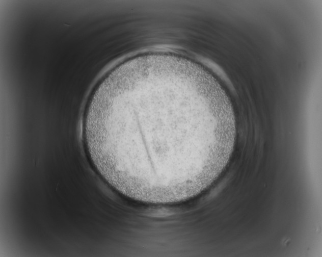X0000087561420200705251751
